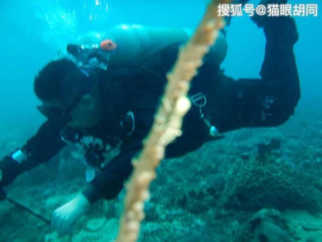 如何与别人拉开差距?方法来了